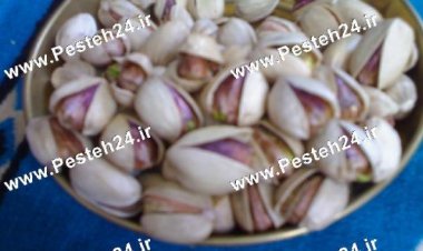 پسته کله قوچی